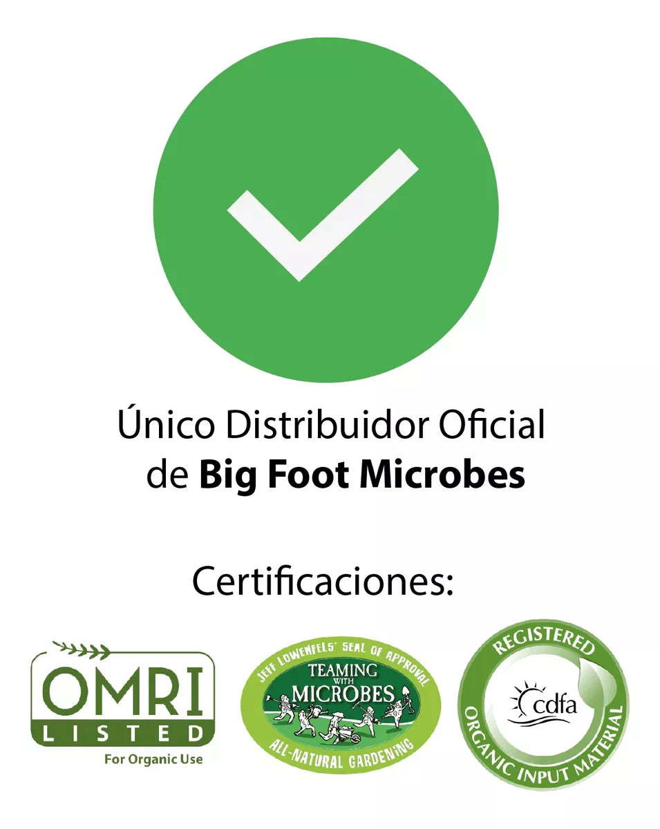 Caja Big Foot Concentrate (Version Original USA)